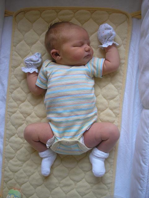 Lil� Stumpy